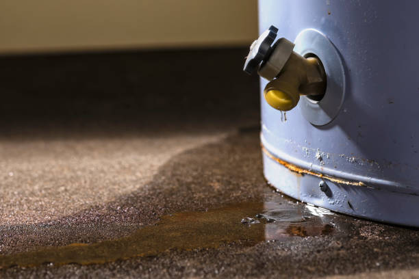 Best 24/7 water damage repair  in Olympia, WA