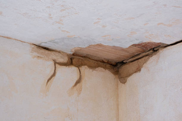 Best Emergency water damage restoration  in Olympia, WA