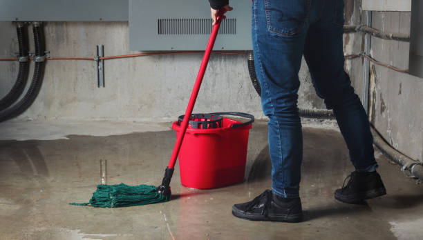 Best Local water damage restoration  in Olympia, WA