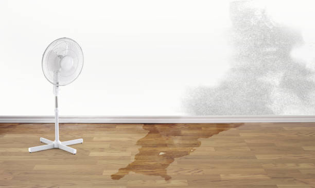 Olympia, WA Water damage restoration Pros