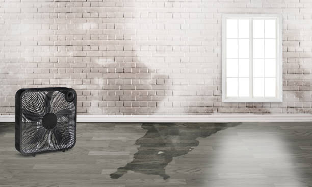 Carpet water damage restoration in WA