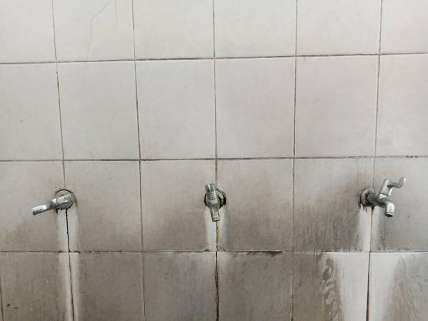Best Commercial water damage restoration  in Olympia, WA