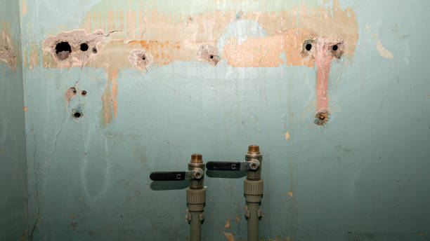 Best Residential water damage restoration  in Olympia, WA