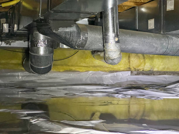 Sewage cleanup and water damage restoration in WA