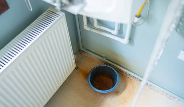 Best 24-hour water damage restoration  in Olympia, WA