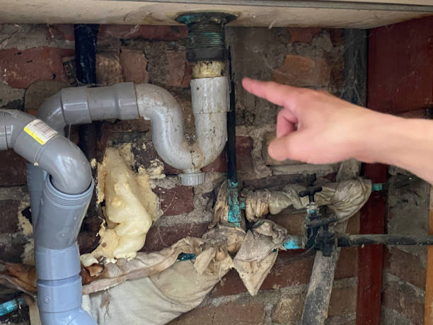 Best Local water damage restoration  in Olympia, WA